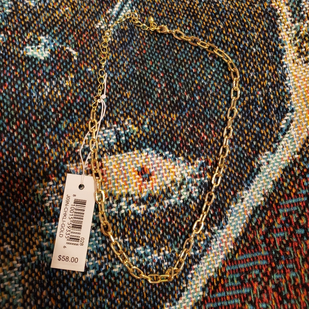 NWT Uncommon James Gold Chain Necklace